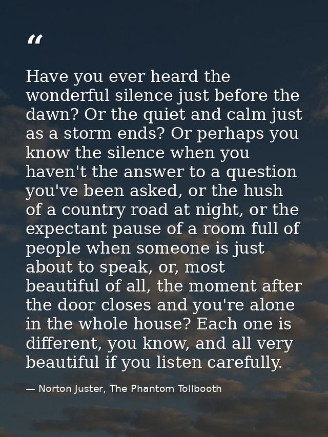 Have you ever heard the wonderful silence just before the dawn? Or the quiet and calm just as a storm ends? Or perhaps y — Norton Juster, The Phantom Tollbooth