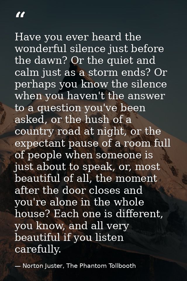 Have you ever heard the wonderful silence just before the dawn? Or the quiet and calm just as a storm ends? Or perhaps y — Norton Juster, The Phantom Tollbooth