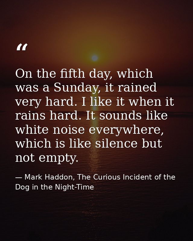 On the fifth day, which was a Sunday, it rained very hard. I like it when it rains hard. It sounds like white noise ever — Mark Haddon, The Curious Incident of the Dog in the Night-Time