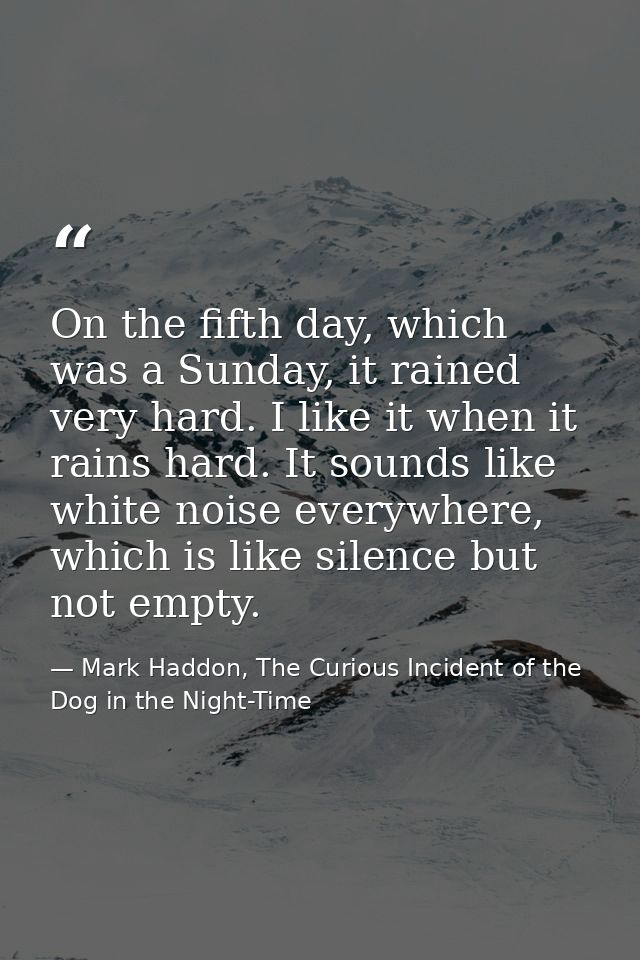 On the fifth day, which was a Sunday, it rained very hard. I like it when it rains hard. It sounds like white noise ever — Mark Haddon, The Curious Incident of the Dog in the Night-Time