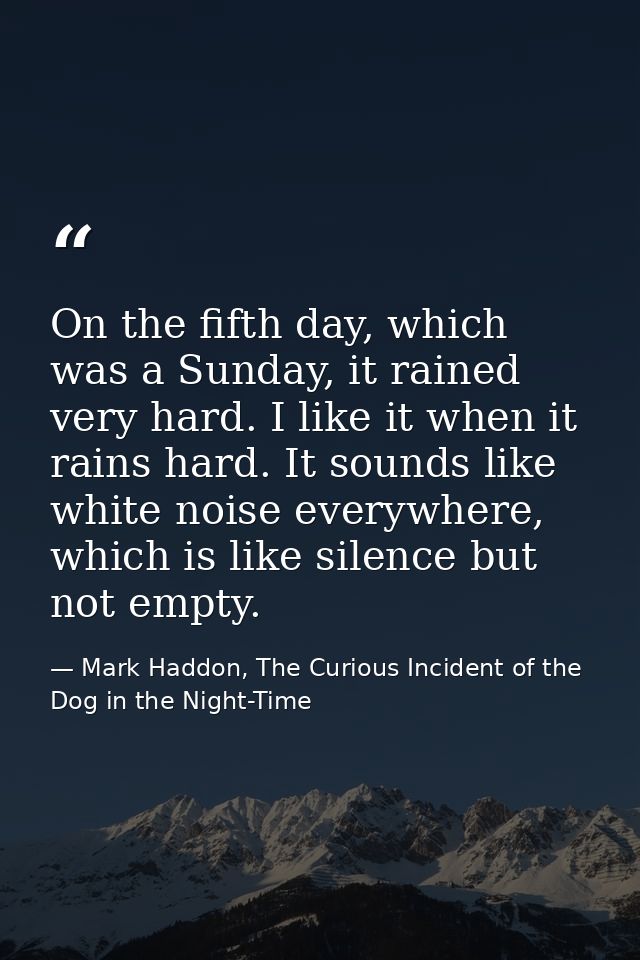 On the fifth day, which was a Sunday, it rained very hard. I like it when it rains hard. It sounds like white noise ever — Mark Haddon, The Curious Incident of the Dog in the Night-Time