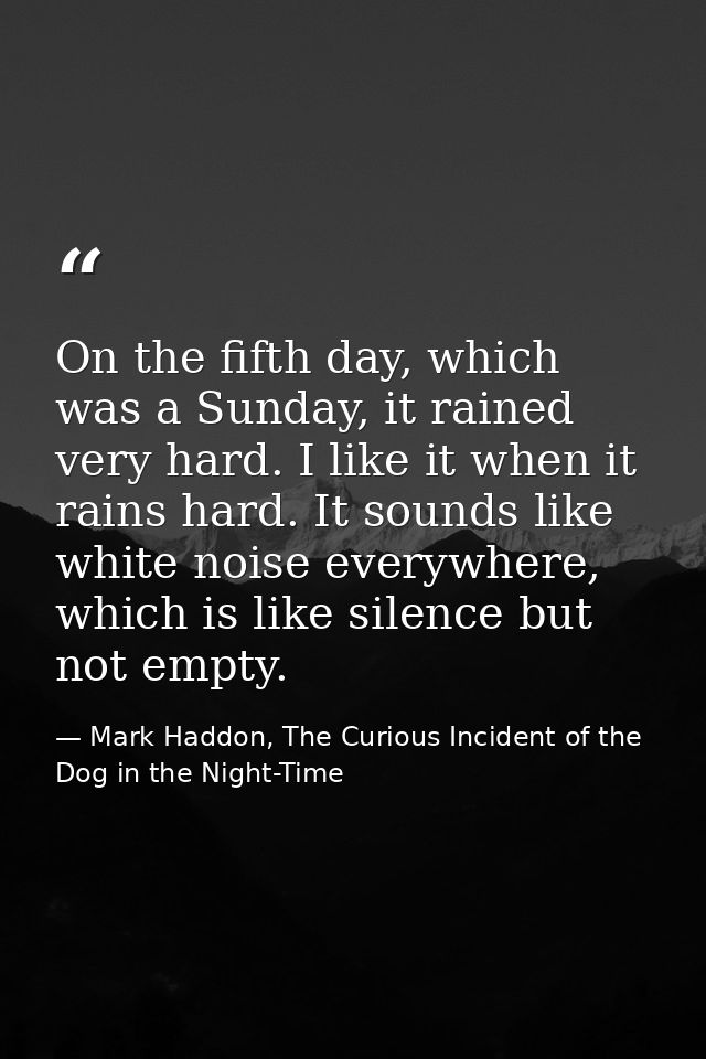 On the fifth day, which was a Sunday, it rained very hard. I like it when it rains hard. It sounds like white noise ever — Mark Haddon, The Curious Incident of the Dog in the Night-Time
