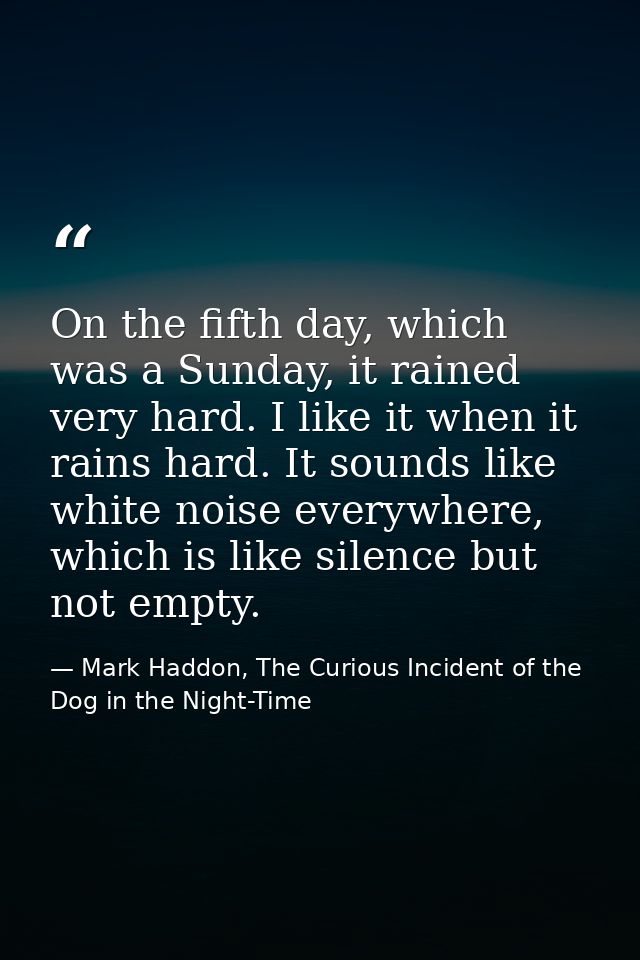 On the fifth day, which was a Sunday, it rained very hard. I like it when it rains hard. It sounds like white noise ever — Mark Haddon, The Curious Incident of the Dog in the Night-Time