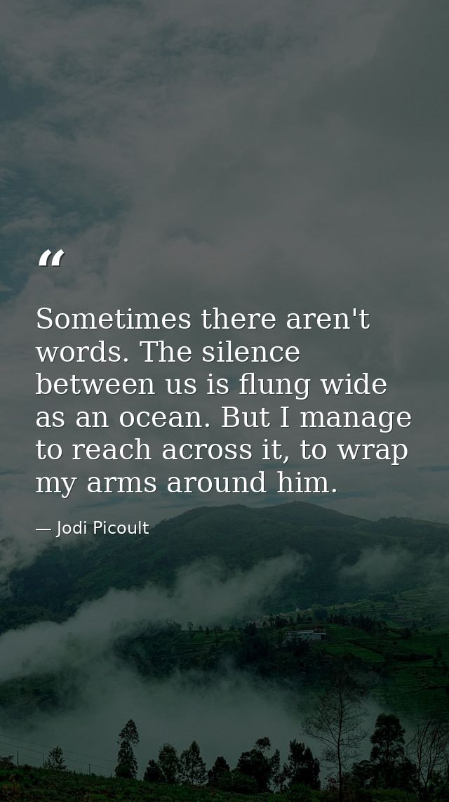 Sometimes there aren't words. The silence between us is flung wide as an ocean. But I manage to reach across it, to wrap — Jodi Picoult