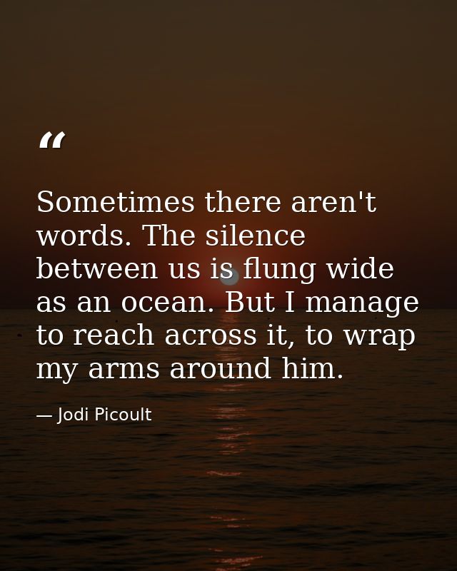 Sometimes there aren't words. The silence between us is flung wide as an ocean. But I manage to reach across it, to wrap — Jodi Picoult