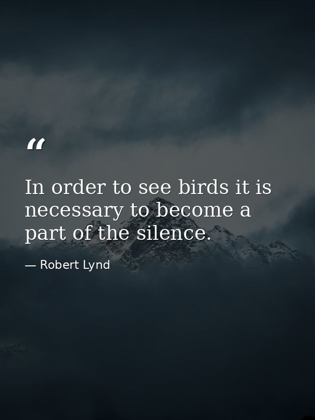 In order to see birds it is necessary to become a part of the silence. — Robert Lynd