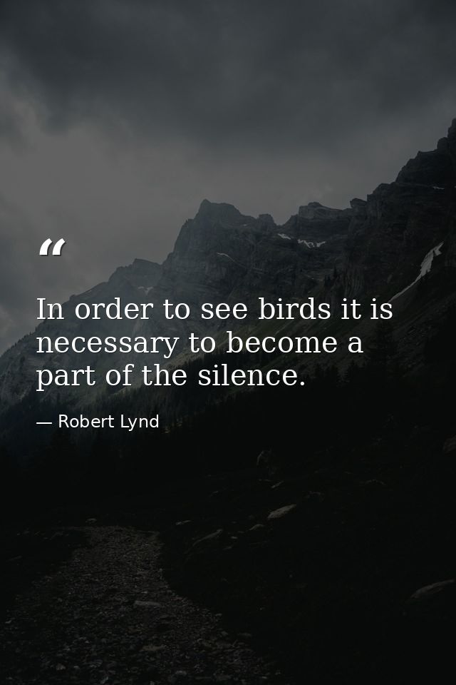 In order to see birds it is necessary to become a part of the silence. — Robert Lynd