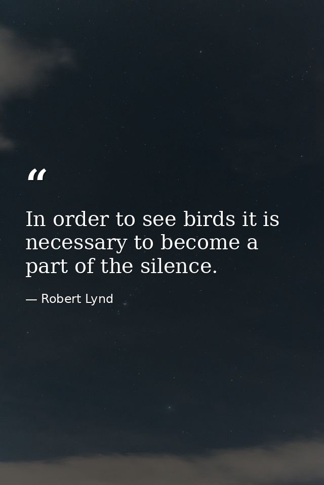 In order to see birds it is necessary to become a part of the silence. — Robert Lynd