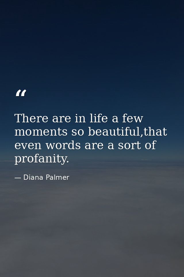There are in life a few moments so beautiful,that even words are a sort of profanity. — Diana Palmer