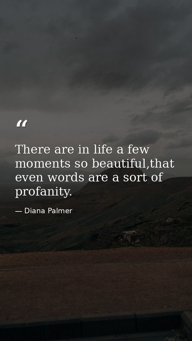 There are in life a few moments so beautiful,that even words are a sort of profanity. — Diana Palmer