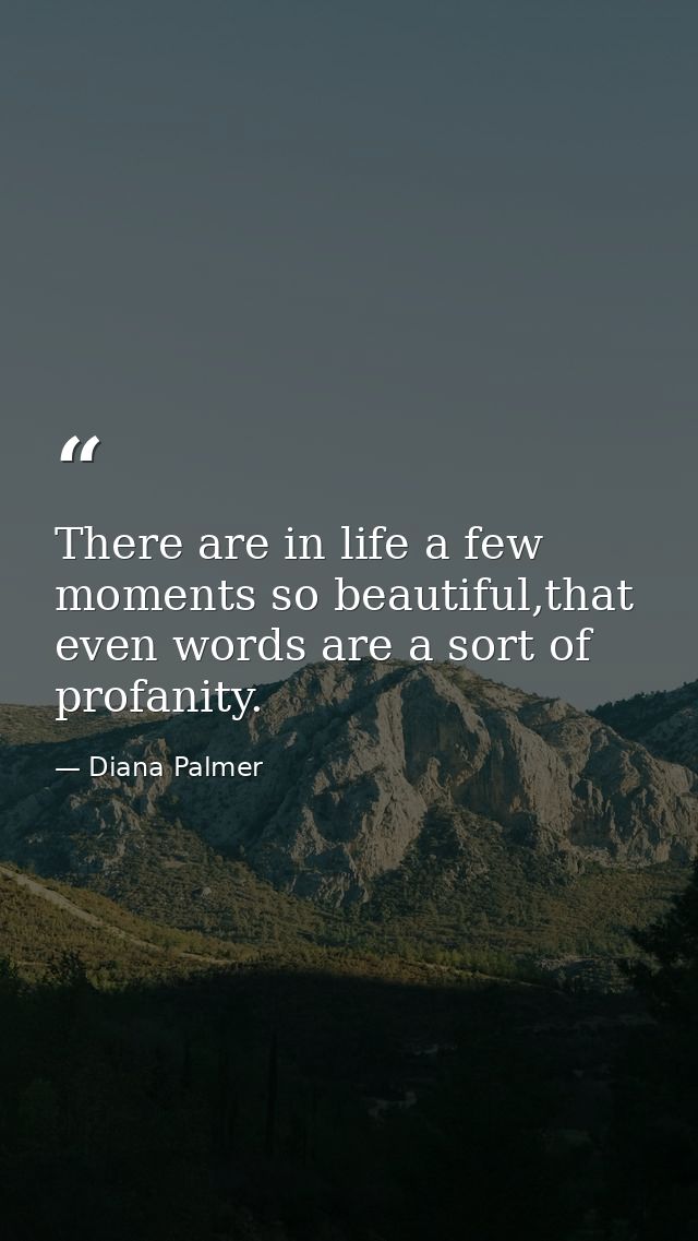There are in life a few moments so beautiful,that even words are a sort of profanity. — Diana Palmer