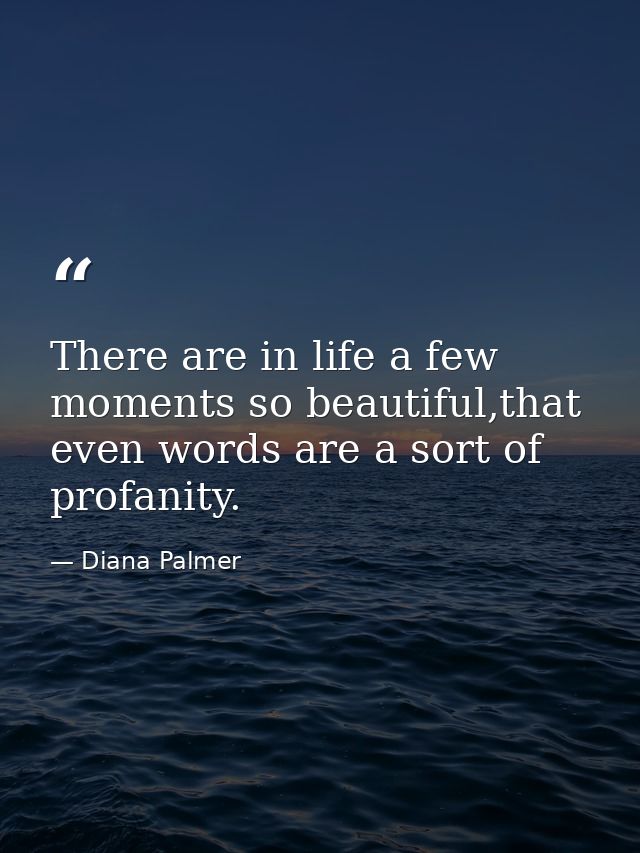 There are in life a few moments so beautiful,that even words are a sort of profanity. — Diana Palmer