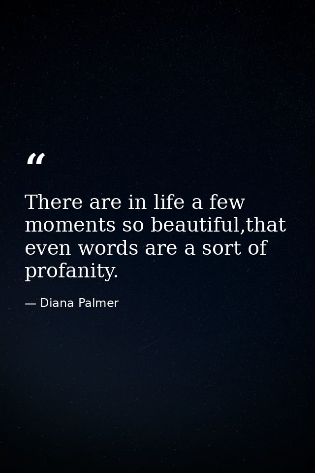 There are in life a few moments so beautiful,that even words are a sort of profanity. — Diana Palmer