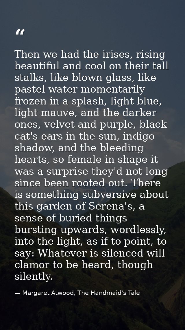 Then we had the irises, rising beautiful and cool on their tall stalks, like blown glass, like pastel water momentarily  — Margaret Atwood, The Handmaid's Tale