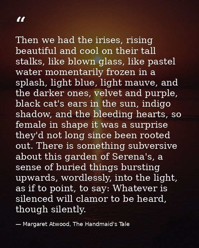 Then we had the irises, rising beautiful and cool on their tall stalks, like blown glass, like pastel water momentarily  — Margaret Atwood, The Handmaid's Tale