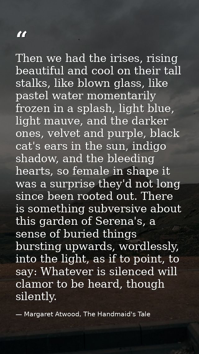 Then we had the irises, rising beautiful and cool on their tall stalks, like blown glass, like pastel water momentarily  — Margaret Atwood, The Handmaid's Tale