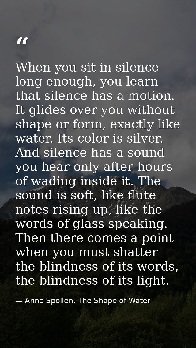 When you sit in silence long enough, you learn that silence has a motion. It glides over you without shape or form, exac — Anne Spollen, The Shape of Water
