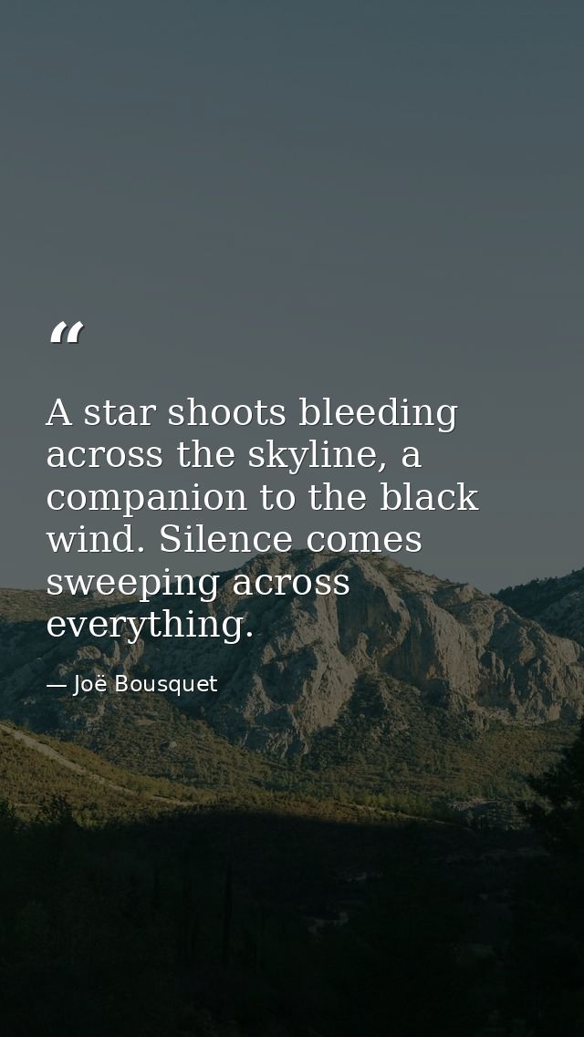 A star shoots bleeding across the skyline, a companion to the black wind. Silence comes sweeping across everything. — Joë Bousquet
