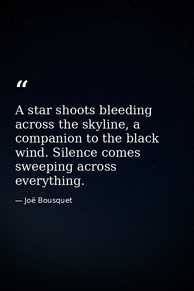 A star shoots bleeding across the skyline, a companion to the black wind. Silence comes sweeping across everything. — Joë Bousquet