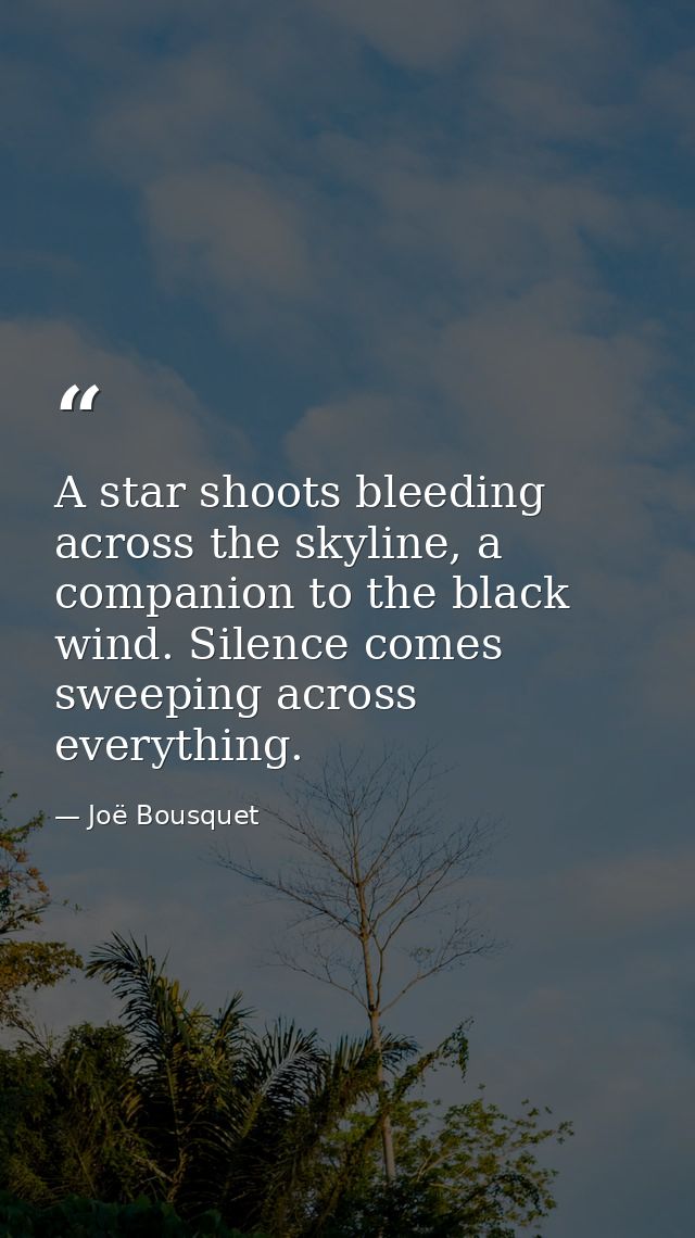 A star shoots bleeding across the skyline, a companion to the black wind. Silence comes sweeping across everything. — Joë Bousquet