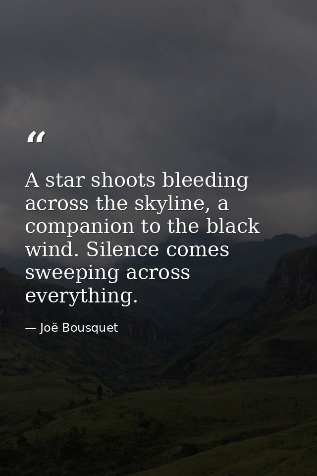 A star shoots bleeding across the skyline, a companion to the black wind. Silence comes sweeping across everything. — Joë Bousquet