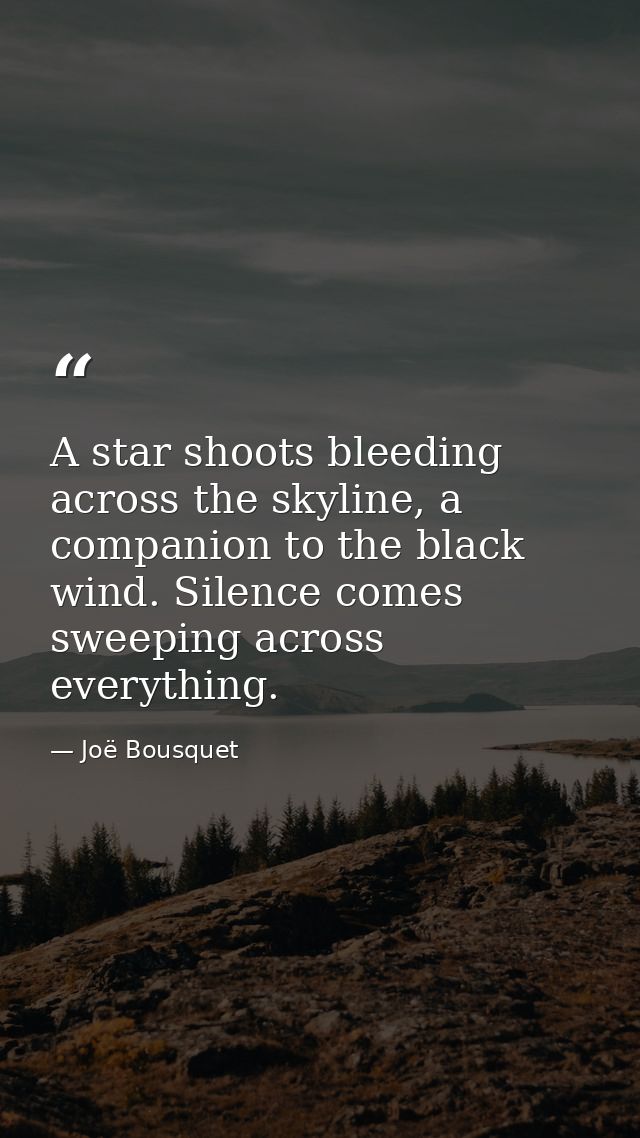 A star shoots bleeding across the skyline, a companion to the black wind. Silence comes sweeping across everything. — Joë Bousquet