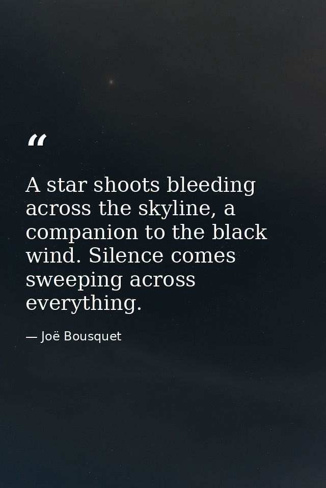 A star shoots bleeding across the skyline, a companion to the black wind. Silence comes sweeping across everything. — Joë Bousquet