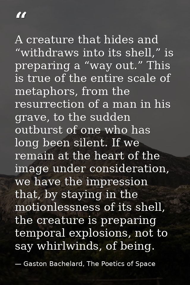 A creature that hides and “withdraws into its shell,” is preparing a “way out.” This is true of the entire scale of meta — Gaston Bachelard, The Poetics of Space