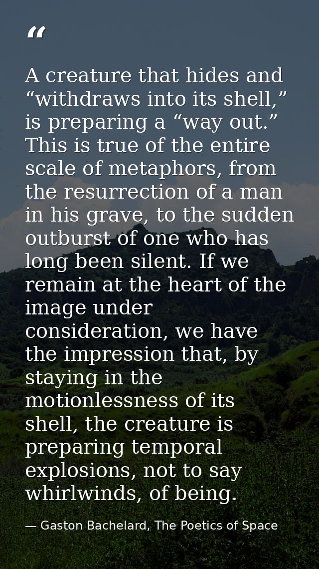 A creature that hides and “withdraws into its shell,” is preparing a “way out.” This is true of the entire scale of meta — Gaston Bachelard, The Poetics of Space