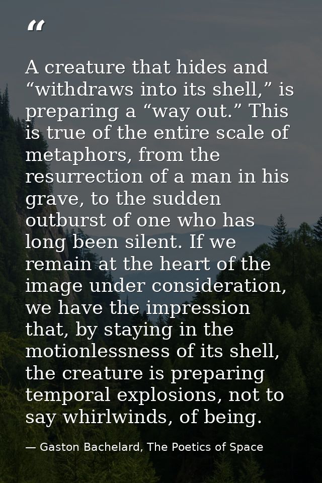 A creature that hides and “withdraws into its shell,” is preparing a “way out.” This is true of the entire scale of meta — Gaston Bachelard, The Poetics of Space