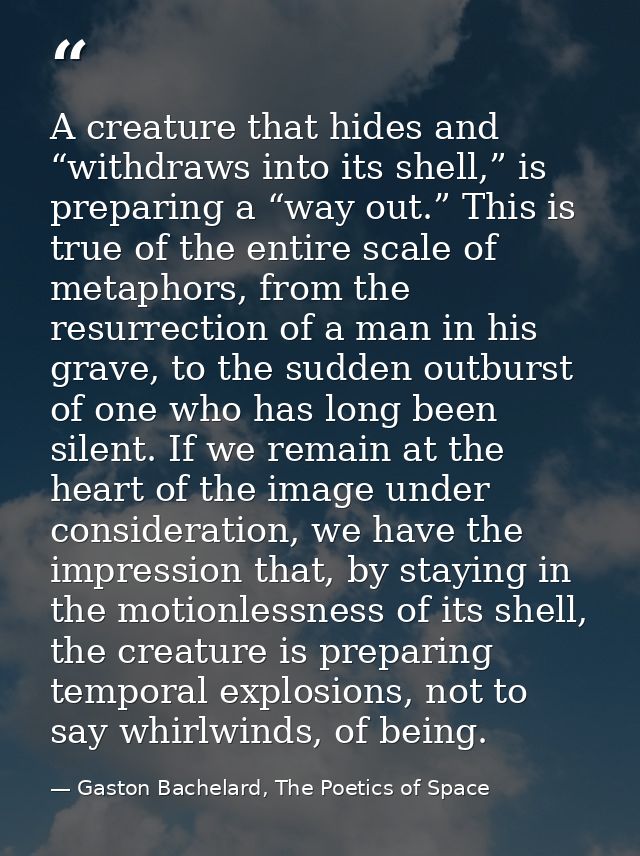 A creature that hides and “withdraws into its shell,” is preparing a “way out.” This is true of the entire scale of meta — Gaston Bachelard, The Poetics of Space