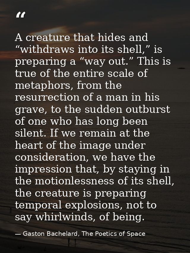 A creature that hides and “withdraws into its shell,” is preparing a “way out.” This is true of the entire scale of meta — Gaston Bachelard, The Poetics of Space
