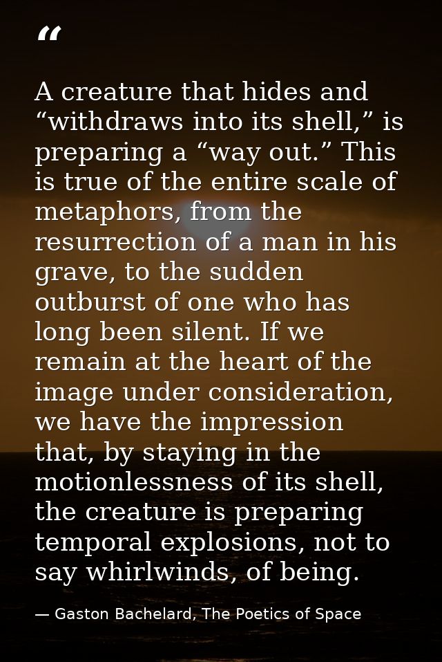 A creature that hides and “withdraws into its shell,” is preparing a “way out.” This is true of the entire scale of meta — Gaston Bachelard, The Poetics of Space