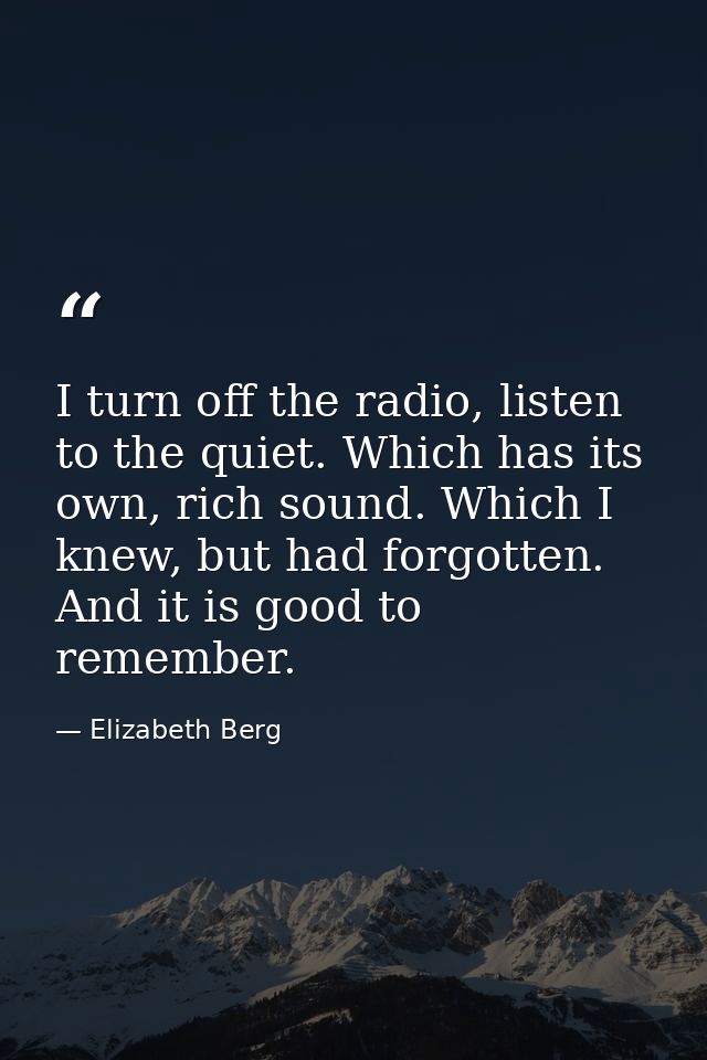 I turn off the radio, listen to the quiet. Which has its own, rich sound. Which I knew, but had forgotten. And it is goo — Elizabeth Berg