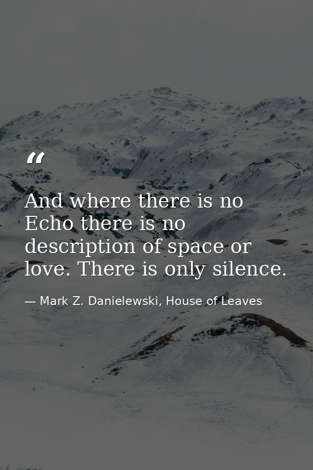 And where there is no Echo there is no description of space or love. There is only silence. — Mark Z. Danielewski, House of Leaves