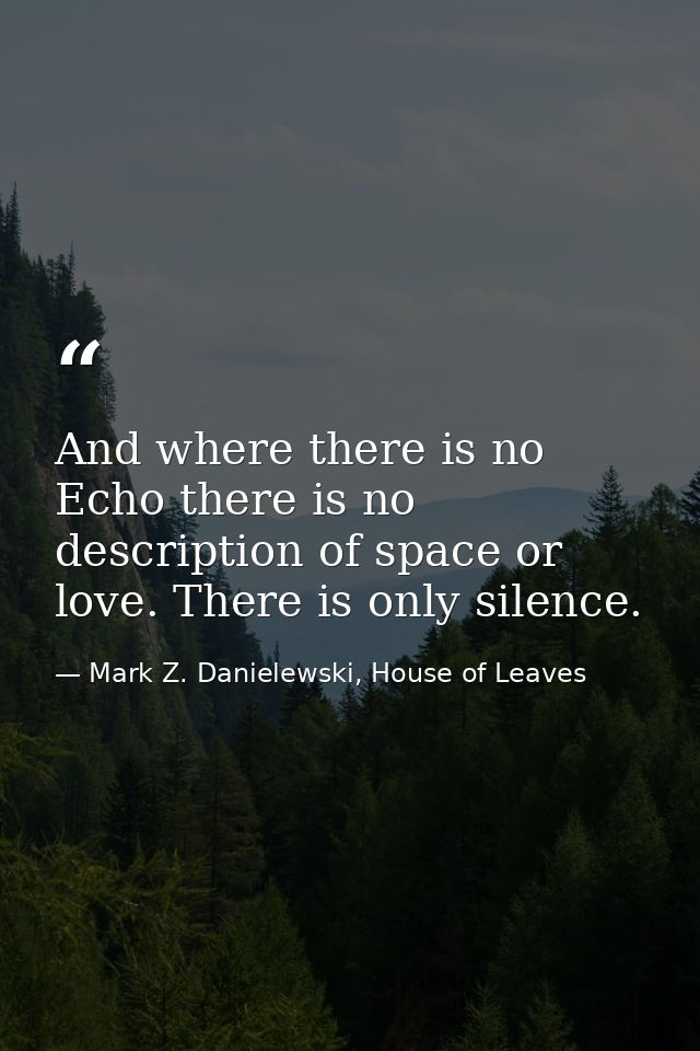 And where there is no Echo there is no description of space or love. There is only silence. — Mark Z. Danielewski, House of Leaves