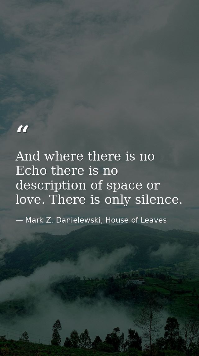 And where there is no Echo there is no description of space or love. There is only silence. — Mark Z. Danielewski, House of Leaves