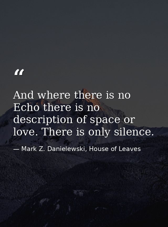 And where there is no Echo there is no description of space or love. There is only silence. — Mark Z. Danielewski, House of Leaves