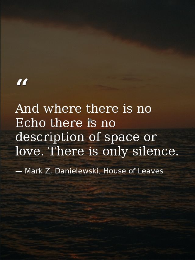 And where there is no Echo there is no description of space or love. There is only silence. — Mark Z. Danielewski, House of Leaves