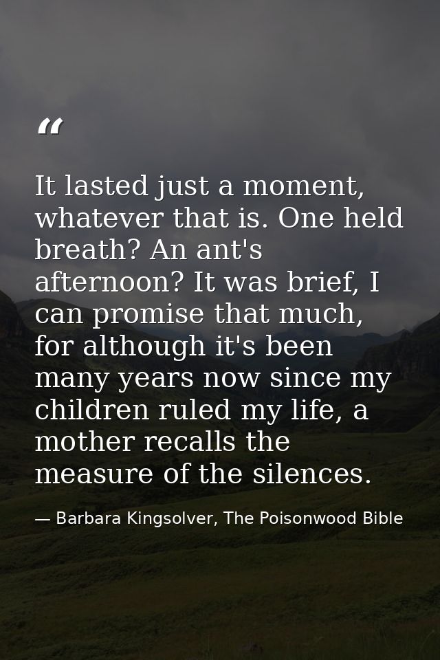It lasted just a moment, whatever that is. One held breath? An ant's afternoon? It was brief, I can promise that much, f — Barbara Kingsolver, The Poisonwood Bible