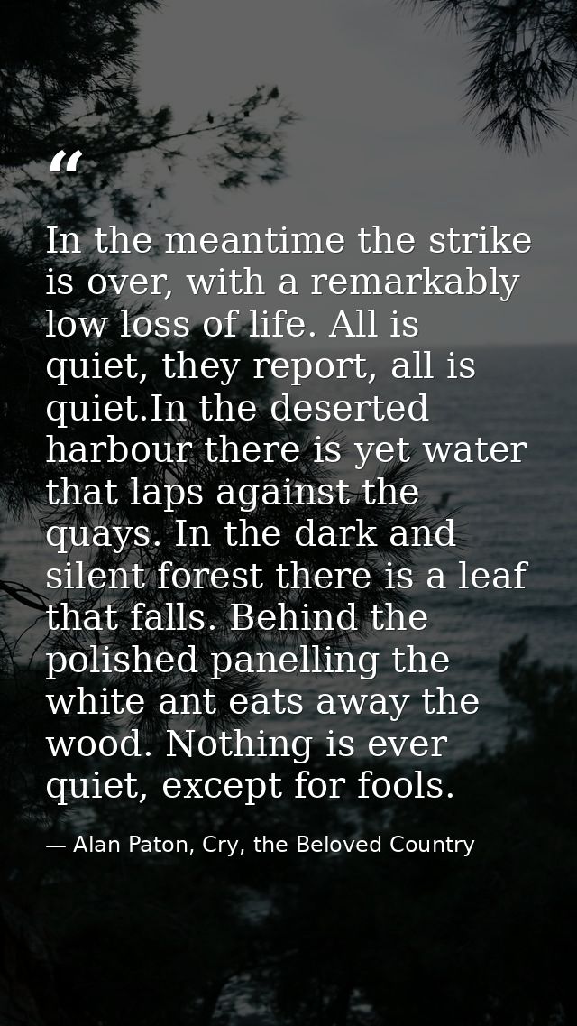 In the meantime the strike is over, with a remarkably low loss of life. All is quiet, they report, all is quiet.In the d — Alan Paton, Cry, the Beloved Country