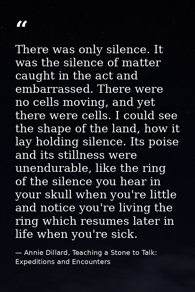 There was only silence. It was the silence of matter caught in the act and embarrassed. There were no cells moving, and  — Annie Dillard, Teaching a Stone to Talk: Expeditions and Encounters