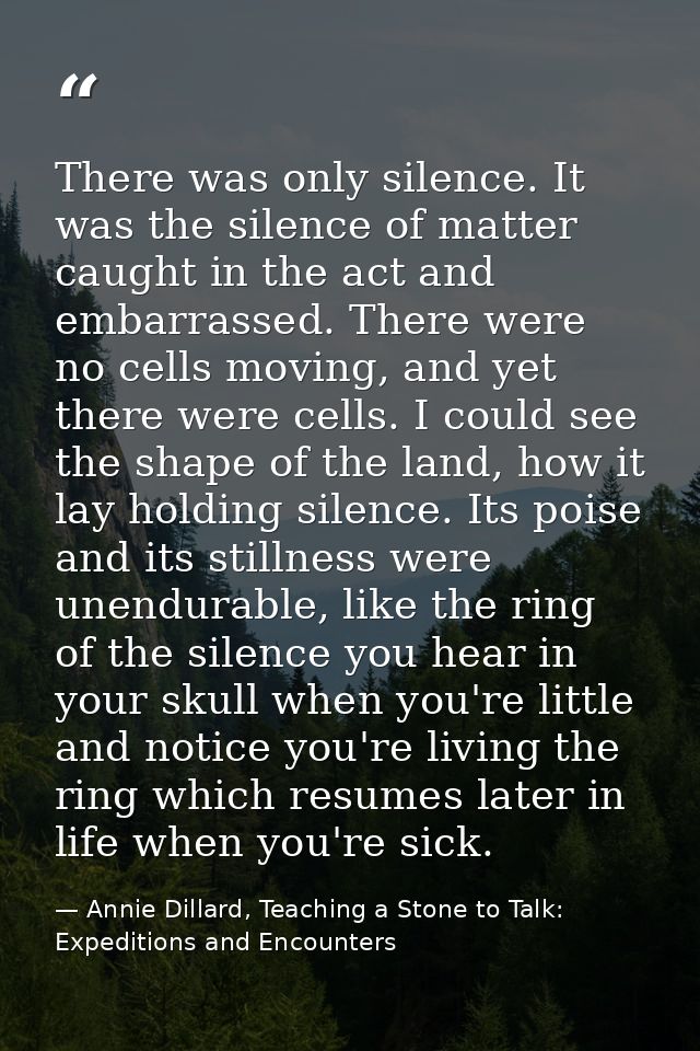 There was only silence. It was the silence of matter caught in the act and embarrassed. There were no cells moving, and  — Annie Dillard, Teaching a Stone to Talk: Expeditions and Encounters