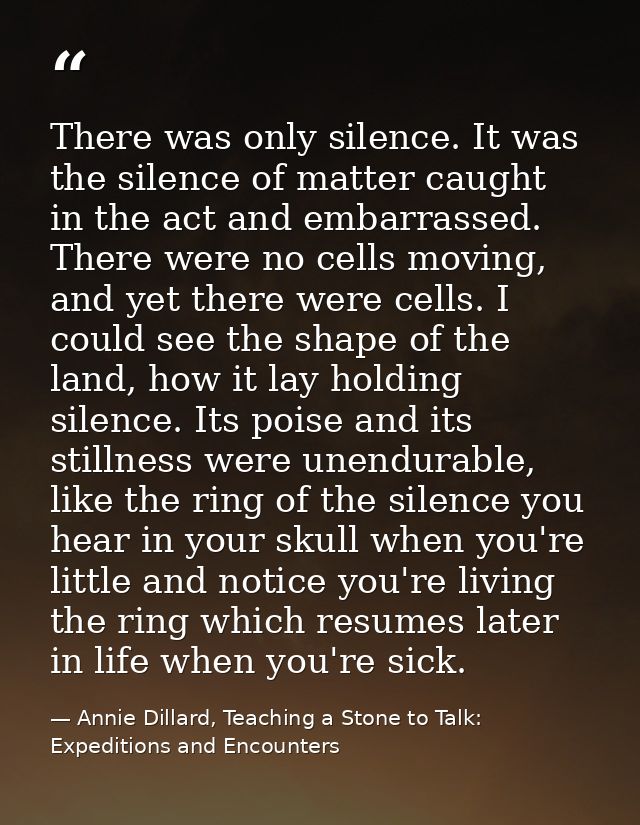 There was only silence. It was the silence of matter caught in the act and embarrassed. There were no cells moving, and  — Annie Dillard, Teaching a Stone to Talk: Expeditions and Encounters