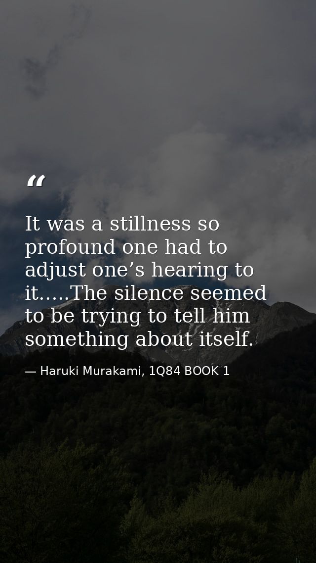 It was a stillness so profound one had to adjust one’s hearing to it.....The silence seemed to be trying to tell him som — Haruki Murakami, 1Q84 BOOK 1