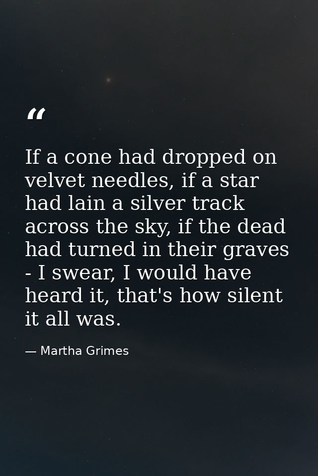 If a cone had dropped on velvet needles, if a star had lain a silver track across the sky, if the dead had turned in the — Martha Grimes