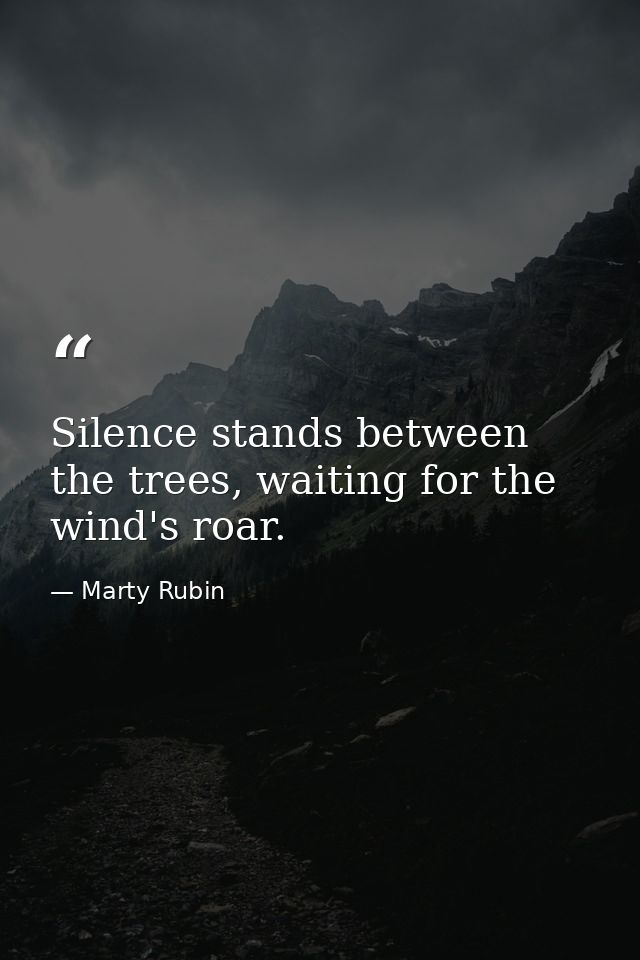 Silence stands between the trees, waiting for the wind's roar. — Marty Rubin