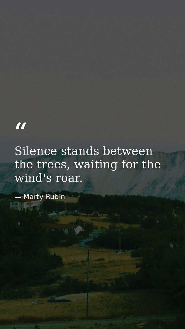 Silence stands between the trees, waiting for the wind's roar. — Marty Rubin