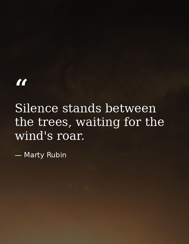 Silence stands between the trees, waiting for the wind's roar. — Marty Rubin
