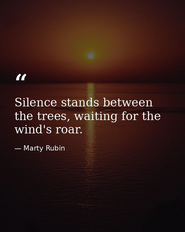 Silence stands between the trees, waiting for the wind's roar. — Marty Rubin